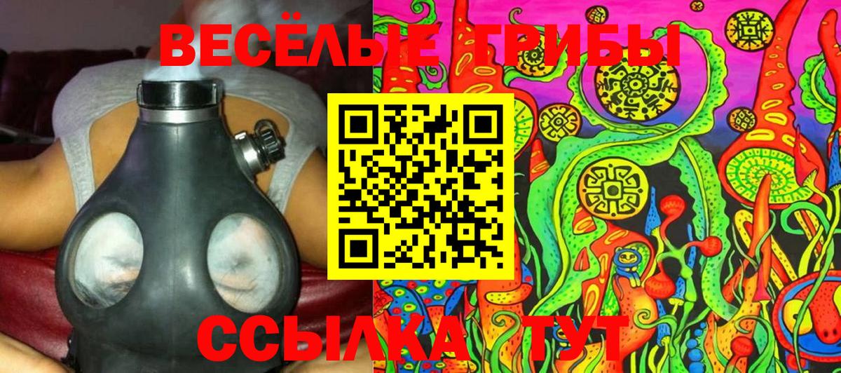 Галлюциногенные грибы мухоморы  где продают наркотики  Сальск  Вход с VPN  Галлюциногенные грибы Cubensis 